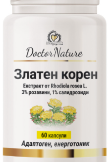 Златен корен-хронична умора,слаба памет