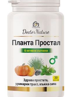 планта простал