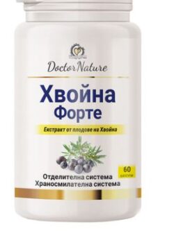 хвойна