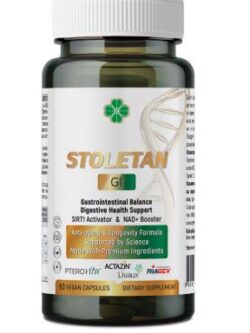 stoletan gi