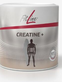 creatine+ fitline